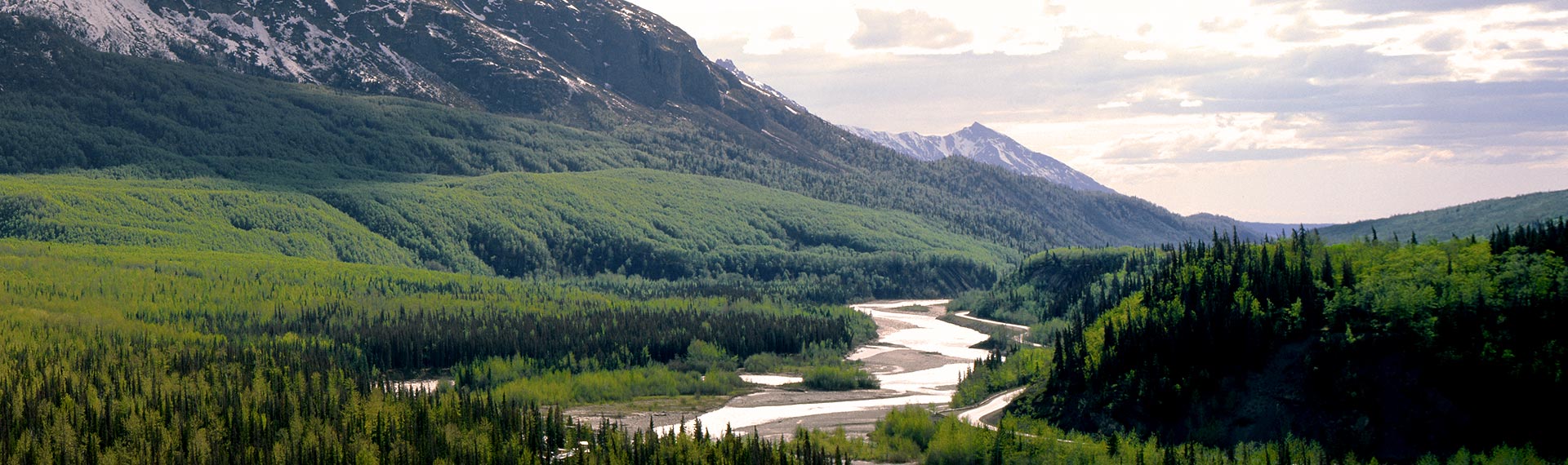 Lake Minchumina: A Pristine Wilderness Haven in Denali National Park ...