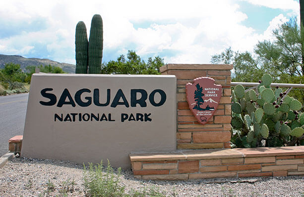 saguaro-park